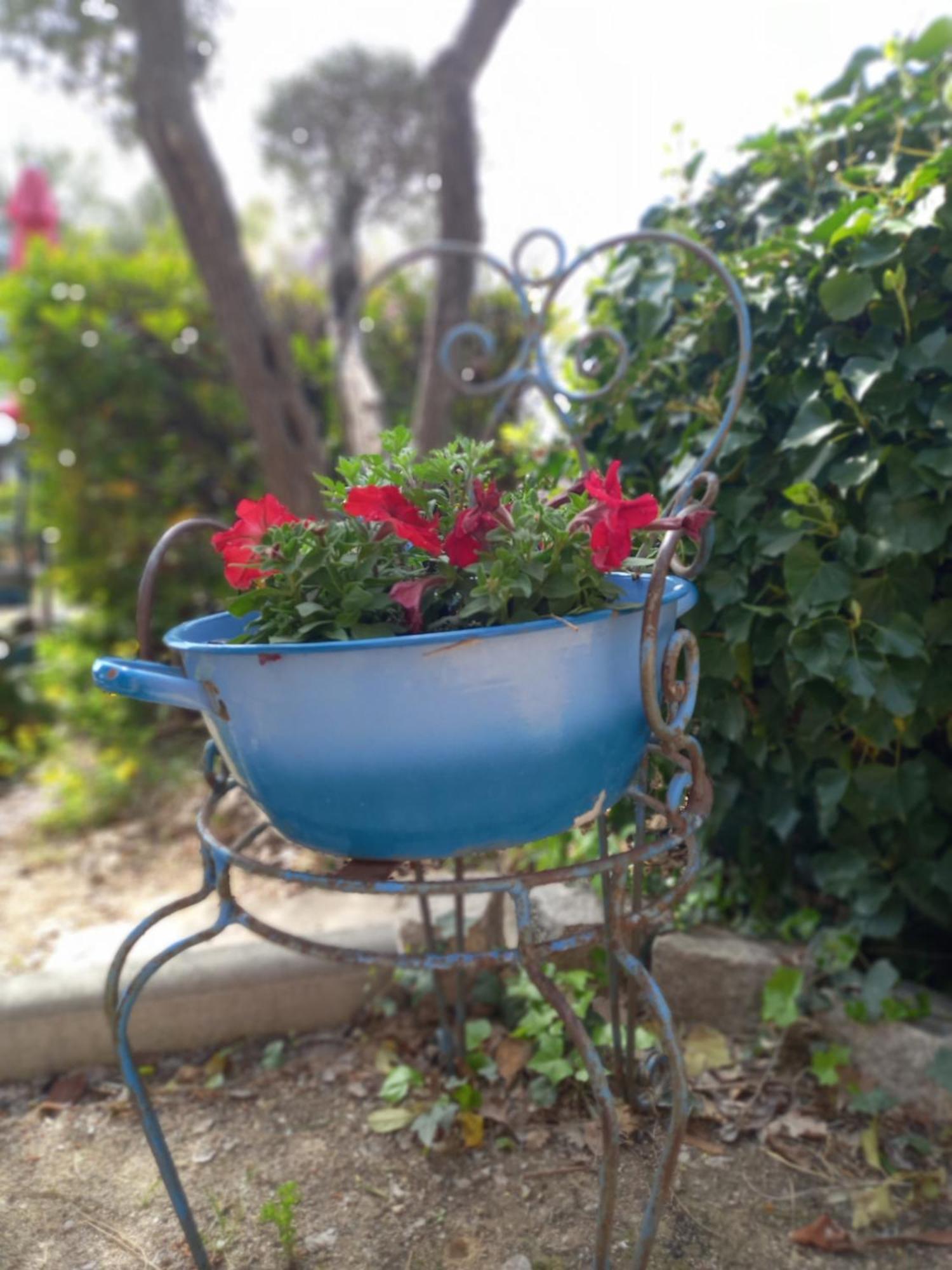 Apartament Le Jardin De Sabine Éguilles Zewnętrze zdjęcie